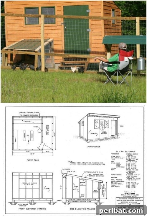 Weekend Chicken Coops: 20 Free DIY Plans for Quick Builds 4 Spacious and functional DIY Sunrise Chicken Coop design.