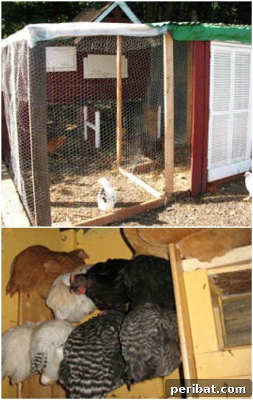Weekend Chicken Coops: 20 Free DIY Plans for Quick Builds 7 Spacious easy two-story chicken coop made from repurposed materials.