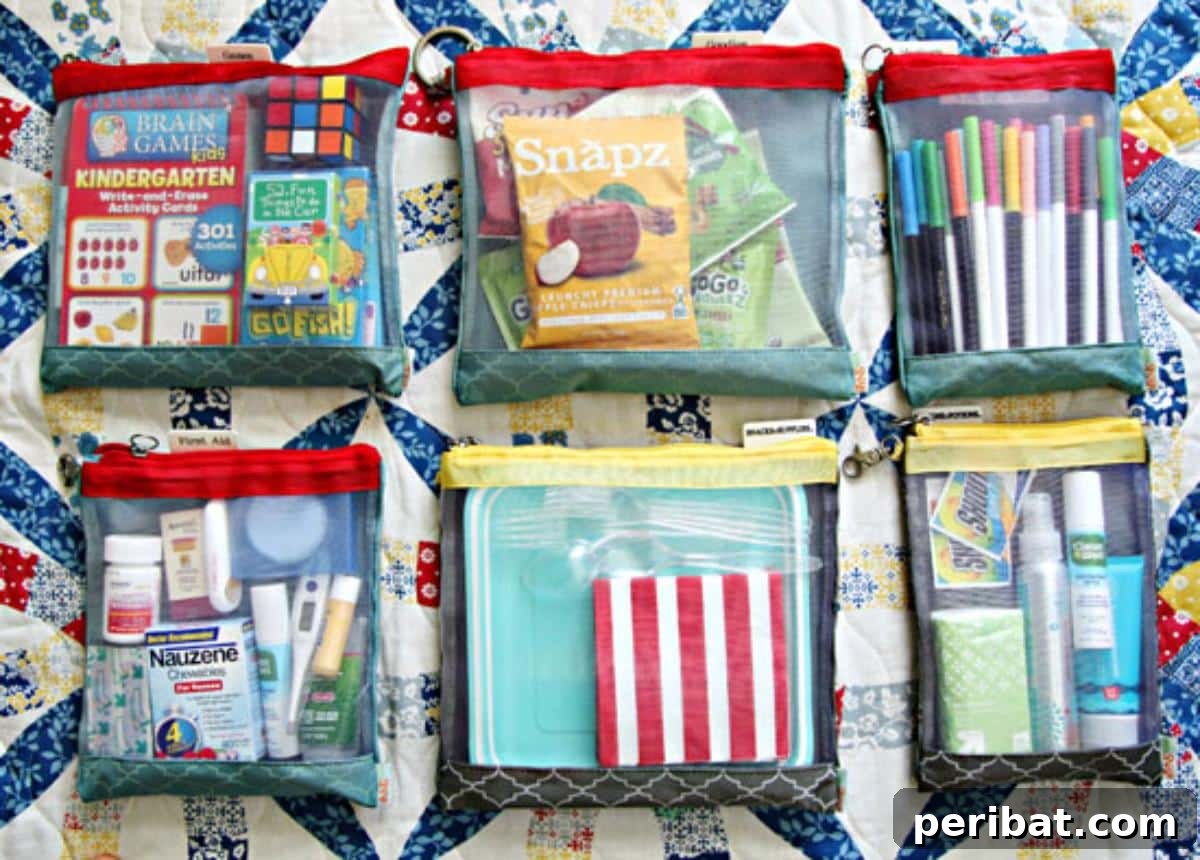Effortless DIY Car Organization Hacks 15 A collection of DIY travel kits or pouches, each clearly labeled and transparent, organized with various essentials for auto travel, such as first-aid items or small toys.