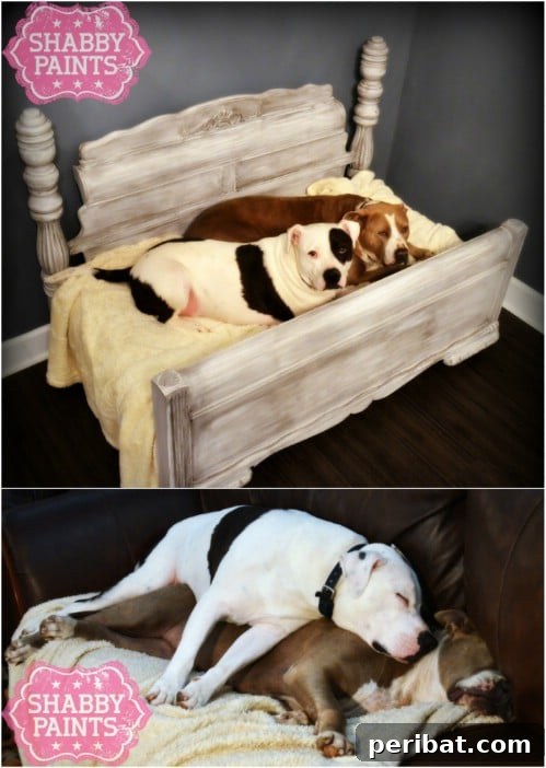 15 Ingenious Makeovers for Old Bed Frames 6 Repurposed Bed Frame as Pet Bed