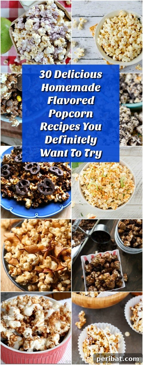 Popcorn Reinvented 30 Delicious DIY Flavors 2 30 Delicious Homemade Flavored Popcorn Recipes You Definitely Want To Try