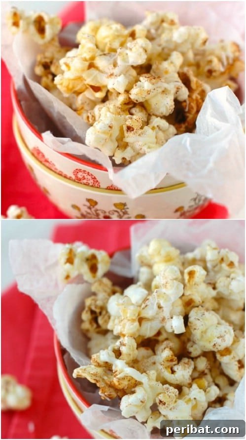 Popcorn Reinvented 30 Delicious DIY Flavors 12 Gingerbread Kettle Corn