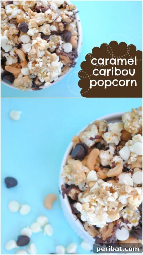 Popcorn Reinvented 30 Delicious DIY Flavors 13 Moose Munch Popcorn