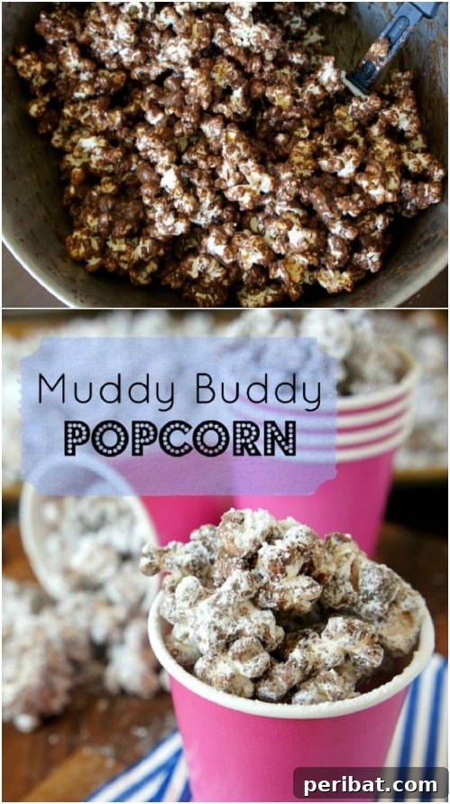 Popcorn Reinvented 30 Delicious DIY Flavors 14 Muddy Buddy Popcorn