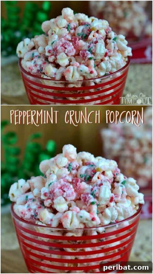 Popcorn Reinvented 30 Delicious DIY Flavors 17 Holiday Favorite – Peppermint Crunch Popcorn