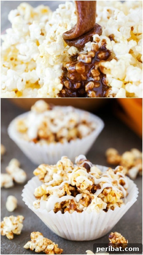 Popcorn Reinvented 30 Delicious DIY Flavors 18 Caramel Pumpkin Spice Popcorn