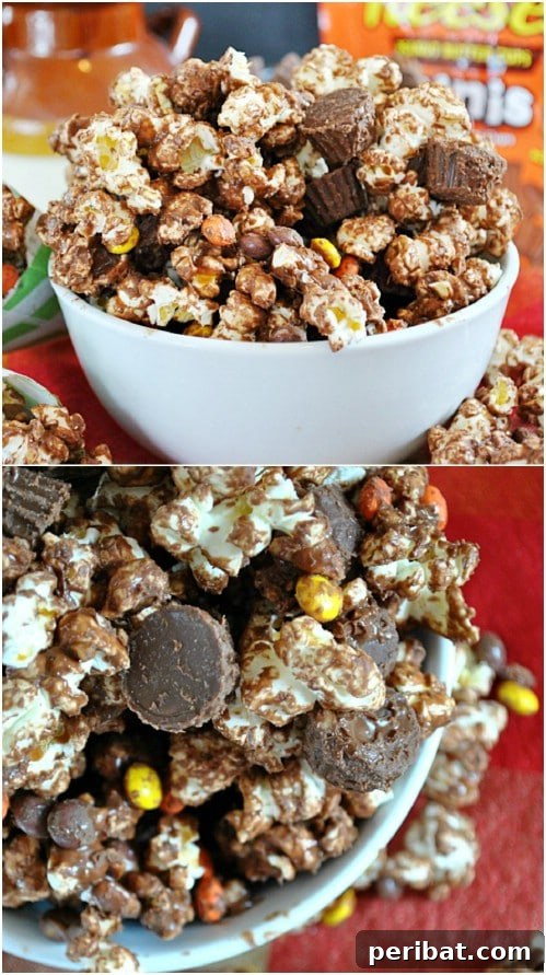 Popcorn Reinvented 30 Delicious DIY Flavors 19 Reese’s Peanut Butter Popcorn
