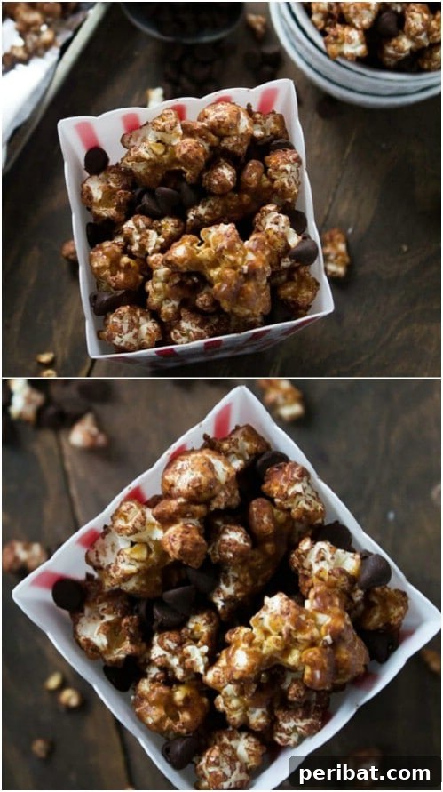 Popcorn Reinvented 30 Delicious DIY Flavors 21 Salted Caramel Chocolate Popcorn