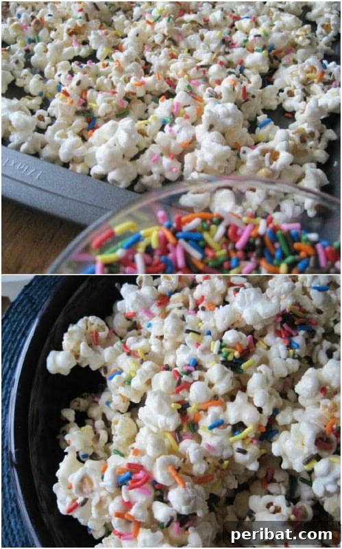 Popcorn Reinvented 30 Delicious DIY Flavors 4 Birthday Cake Batter Flavored Popcorn