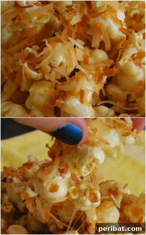 Popcorn Reinvented 30 Delicious DIY Flavors 6 Caramel Coconut Popcorn