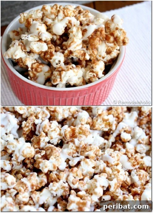Popcorn Reinvented 30 Delicious DIY Flavors 8 Homemade Gourmet Cinnabon Popcorn