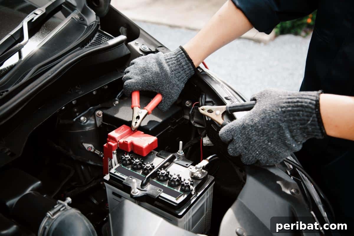 The Definitive Vehicle Readiness Kit: Essentials for Safety, Survival, and Enjoyment on the Road 3 Jumper cables for car battery