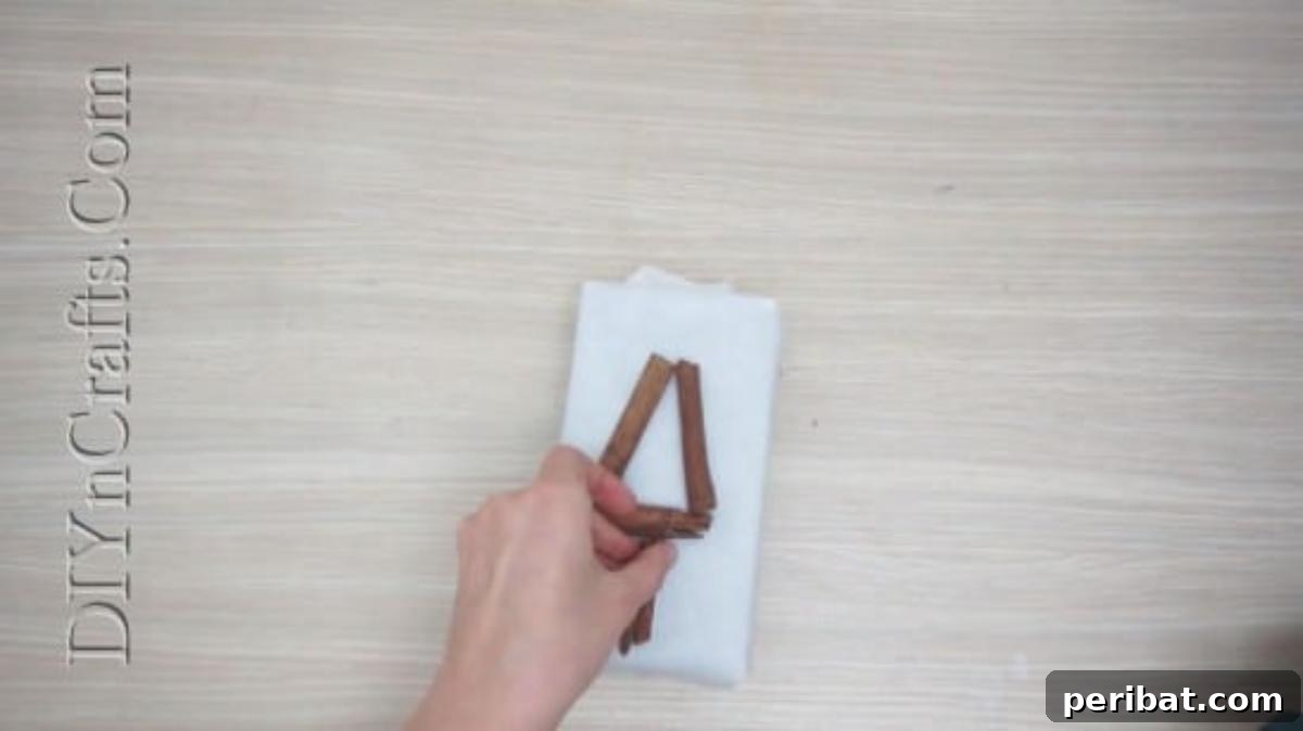 Cinnamon Sticks Gift Wrap - 5 Brilliantly Creative DIY Gift Wrapping Ideas for Christmas