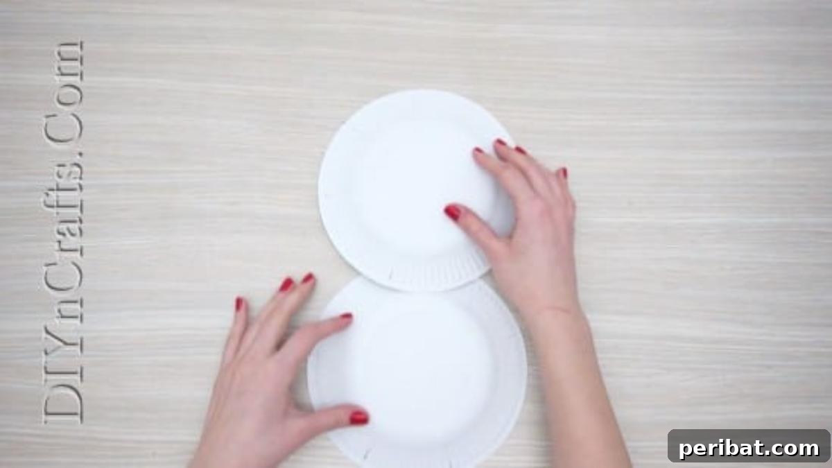 Snowman Plates Craft