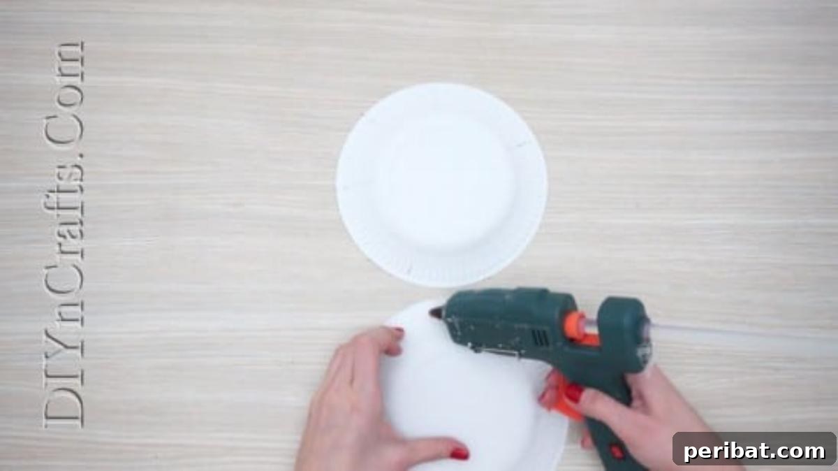 Snowman Plates Craft