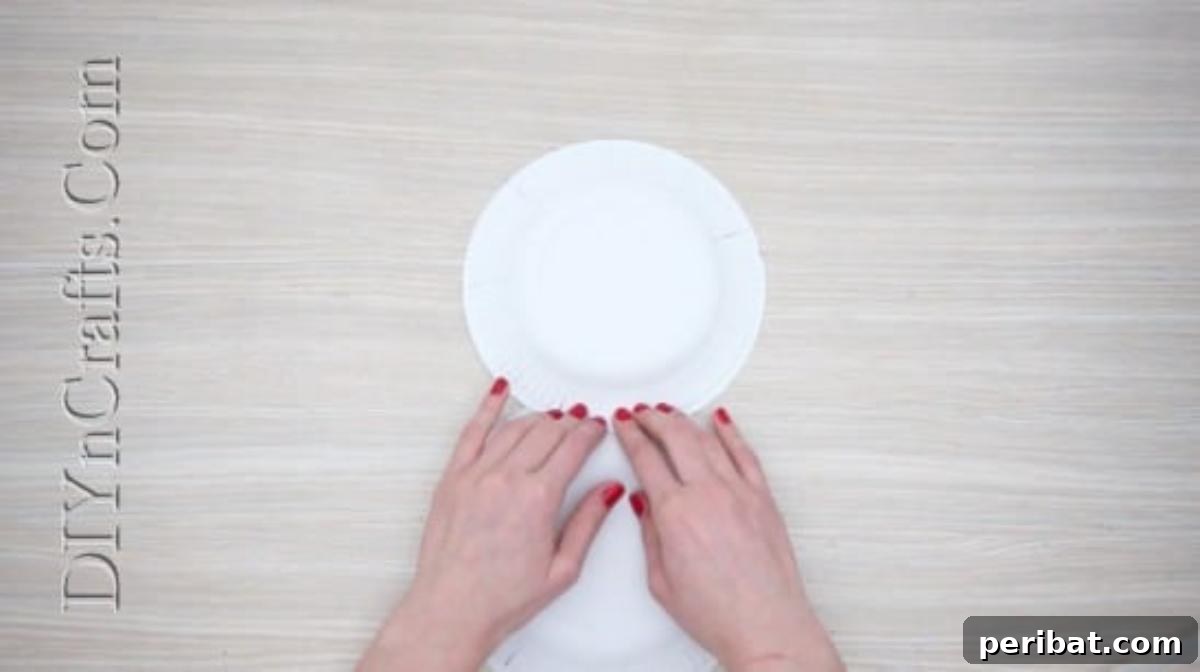 Snowman Plates Craft