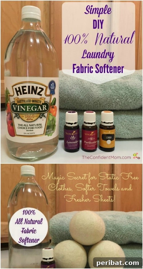 Homemade Softness Secrets: 10 DIY Recipes That Outperform Store Brands 11 Easy All Natural Liquid Fabric Softener