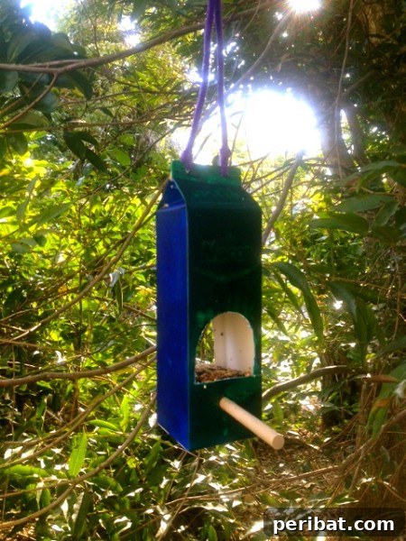 23 Kolay Yemlik Fikriyle Bahçenizi Kuşlarla Şenlendirin 11 Milk Carton Feeder - 23 DIY Birdfeeders That Will Fill Your Garden With Birds