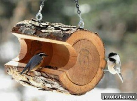 23 Kolay Yemlik Fikriyle Bahçenizi Kuşlarla Şenlendirin 13 Log Bird Feeder - 23 DIY Birdfeeders That Will Fill Your Garden With Birds