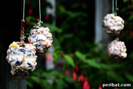 23 Kolay Yemlik Fikriyle Bahçenizi Kuşlarla Şenlendirin 15 Pinecone Feeders - 23 DIY Birdfeeders That Will Fill Your Garden With Birds
