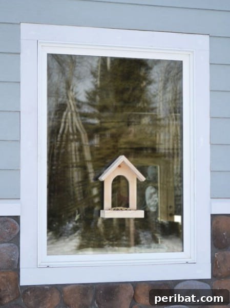 23 Kolay Yemlik Fikriyle Bahçenizi Kuşlarla Şenlendirin 16 Window Birdfeeder - 23 DIY Birdfeeders That Will Fill Your Garden With Birds