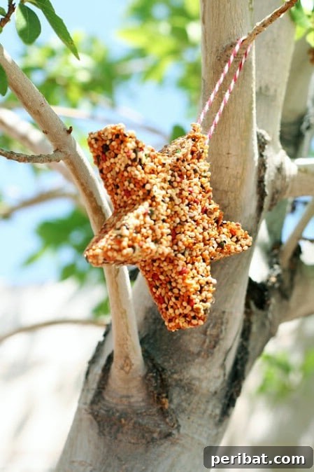 23 Kolay Yemlik Fikriyle Bahçenizi Kuşlarla Şenlendirin 22 Cookie Cutter Feeders - 23 DIY Birdfeeders That Will Fill Your Garden With Birds
