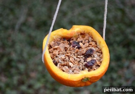 23 Kolay Yemlik Fikriyle Bahçenizi Kuşlarla Şenlendirin 24 Orange Cup Birdfeeders - 23 DIY Birdfeeders That Will Fill Your Garden With Birds
