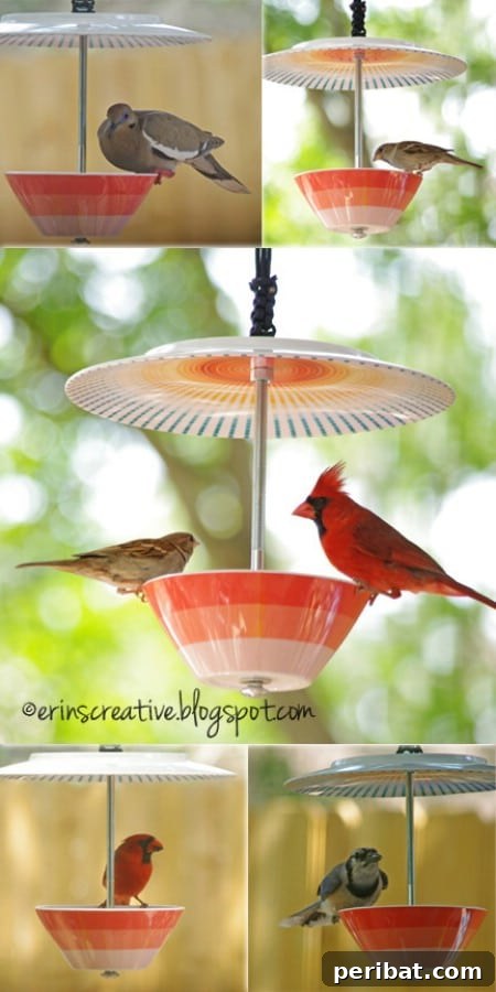 23 Kolay Yemlik Fikriyle Bahçenizi Kuşlarla Şenlendirin 4 Plate and Bowl Birdfeeder - 23 DIY Birdfeeders That Will Fill Your Garden With Birds