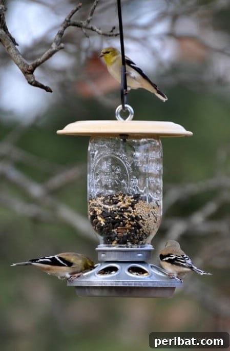 23 Kolay Yemlik Fikriyle Bahçenizi Kuşlarla Şenlendirin 7 Mason Jar Feeders - 23 DIY Birdfeeders That Will Fill Your Garden With Birds