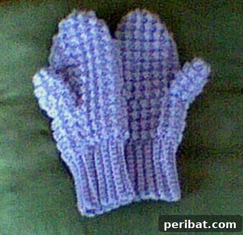Snuggle Up: 30 Mitten Patterns to Knit or Crochet for Instant Warmth 23 Easy Puff Crochet Mittens