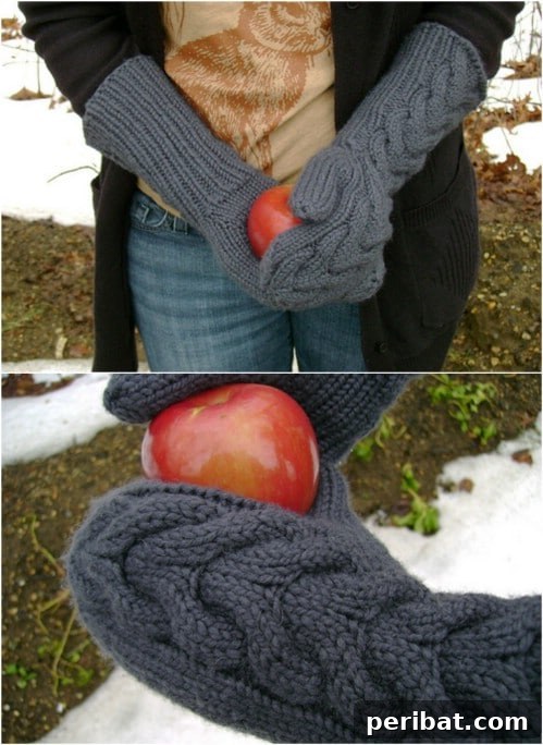 Snuggle Up: 30 Mitten Patterns to Knit or Crochet for Instant Warmth 4 Twilight Inspired Bella Knit Mittens