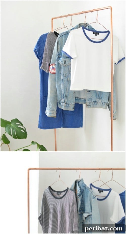 Elevate Your Entryway 25 DIY Coat Rack Projects 18 DIY Copper Pipe Coat Rack