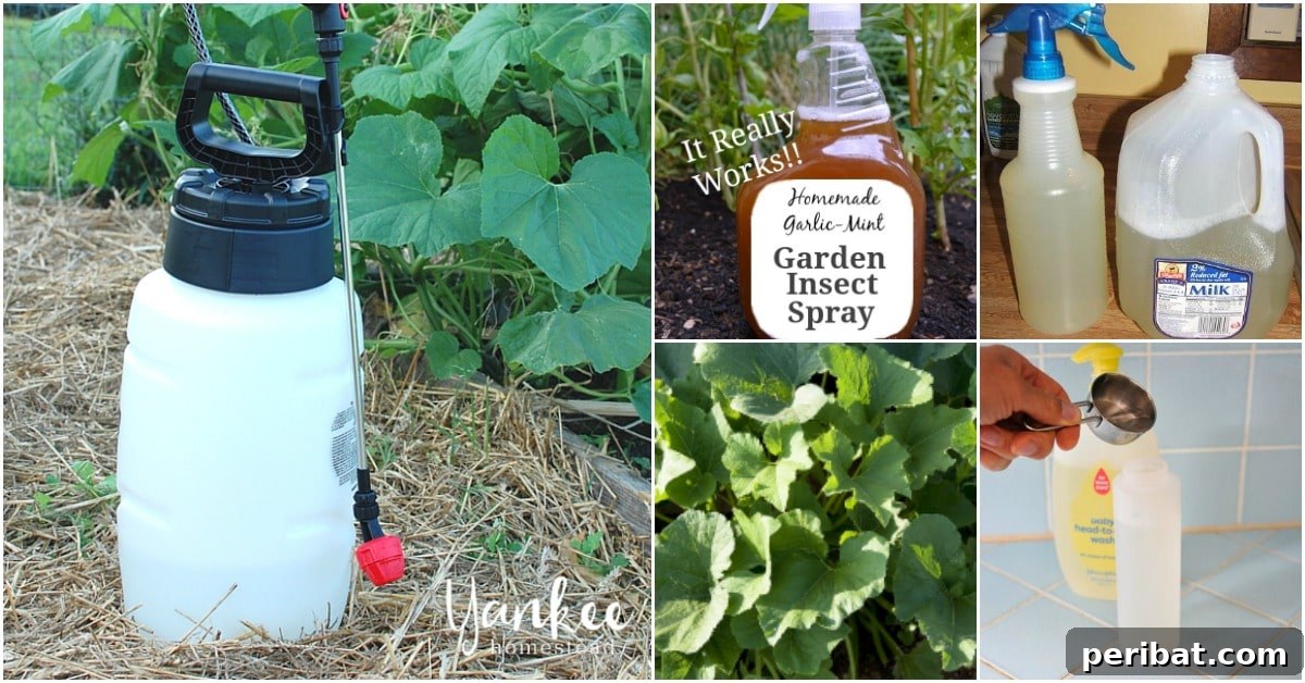10 Homemade Insecticides That Keep Your Garden Pest Free Naturally