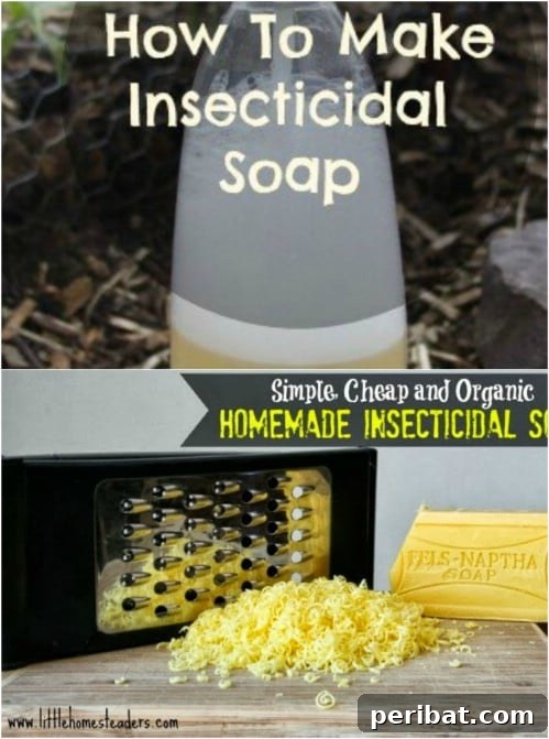 DIY Insecticidal Soap
