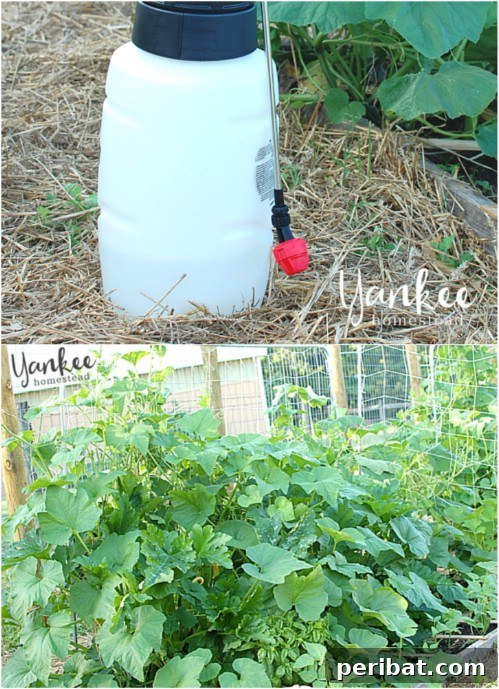DIY Peppermint Oil Garden Spray