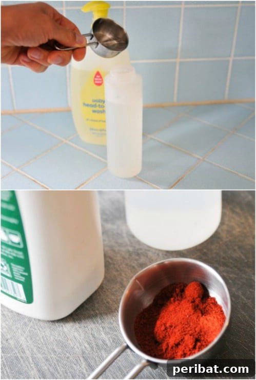 Homemade Oil Spray For Vegetable Gardens