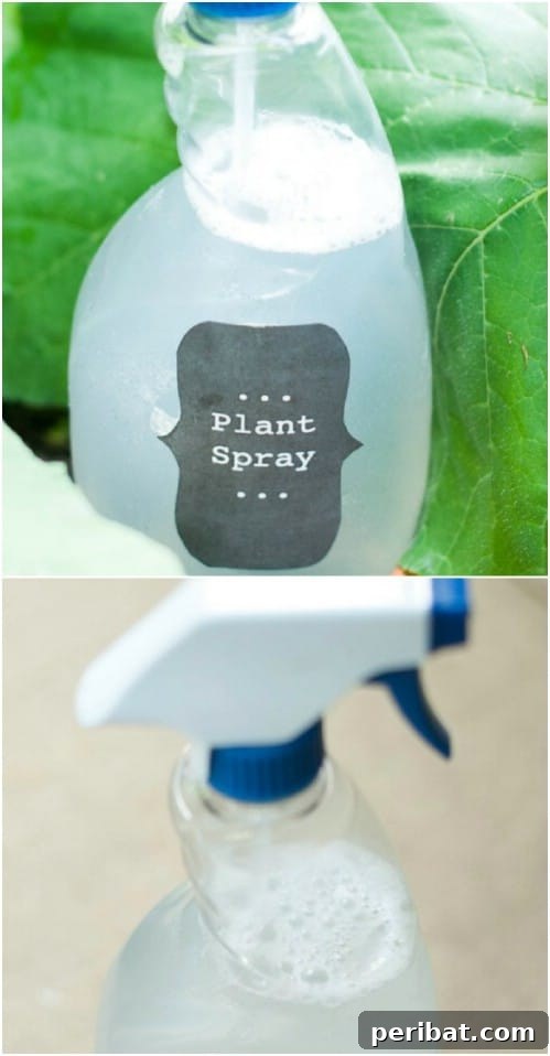 DIY Insecticidal Castile Soap Spray