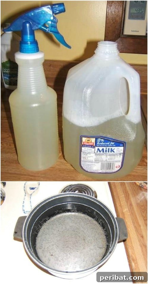 Homemade Veggie Soup Insecticide