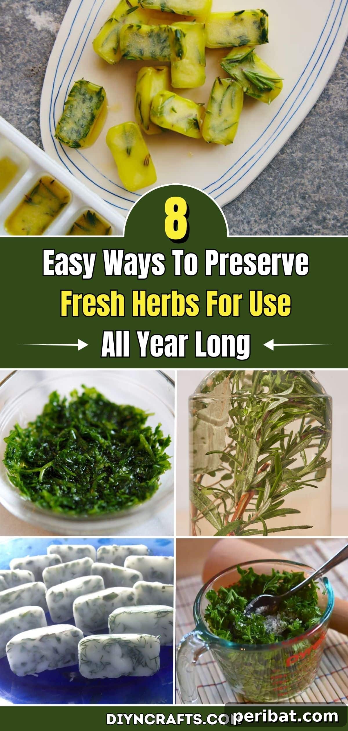 8 Easy Ways To Preserve Fresh Herbs For Use All Year Long pinterest image