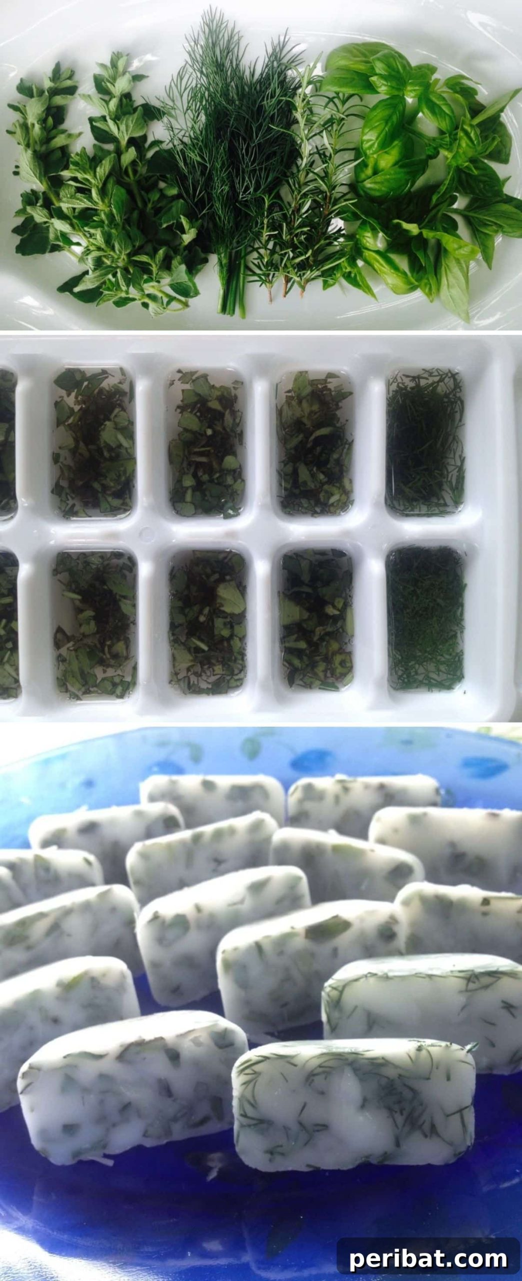Freeze Fresh Herbs In Coconut Oil