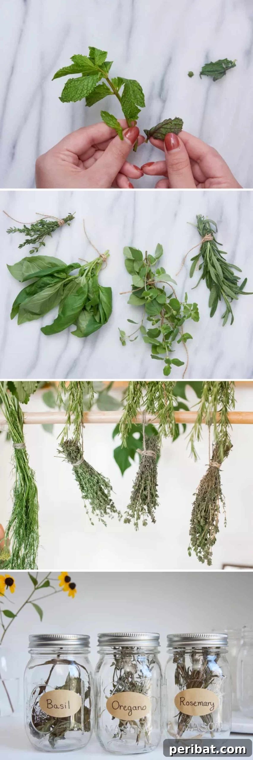 Dry Herbs By Hanging