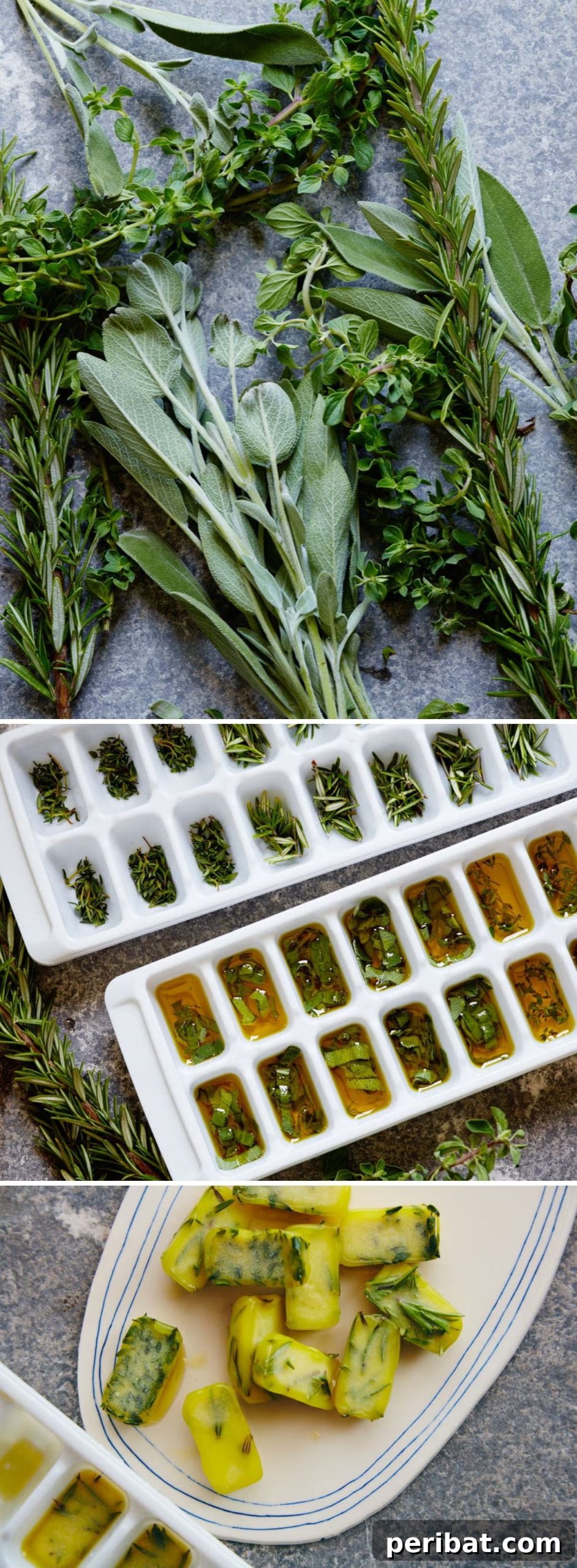 Freeze Fresh Herbs In Olive Oil