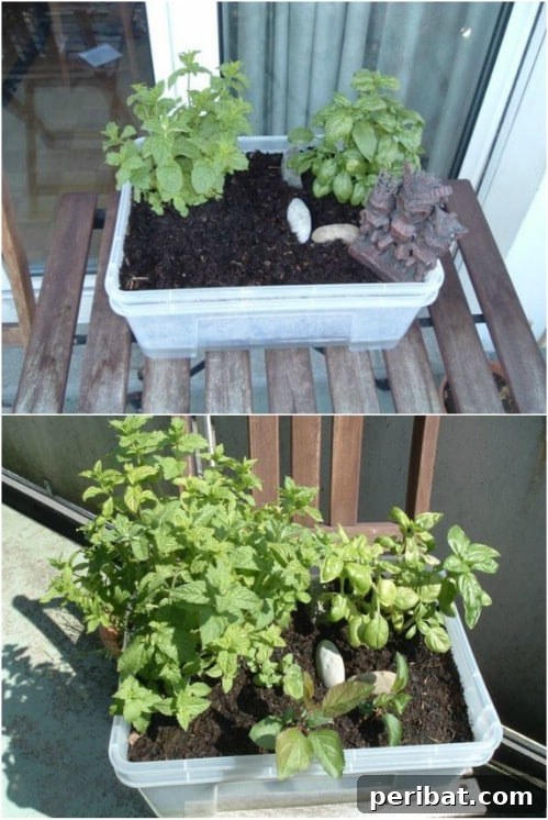 Repurposed Storage Box Self Watering Planter