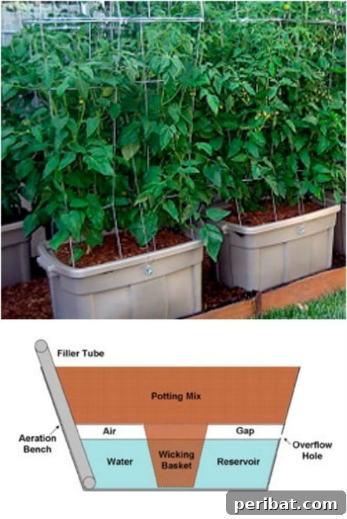 Repurposed Tote Self Watering Tomato Planters