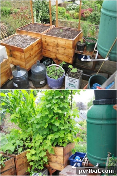 DIY Wooden Box Self Watering Planters