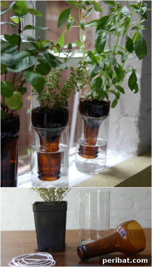 Upcycled Empty Glass Bottle Garden