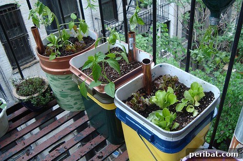 Easy Large Self Watering Containers