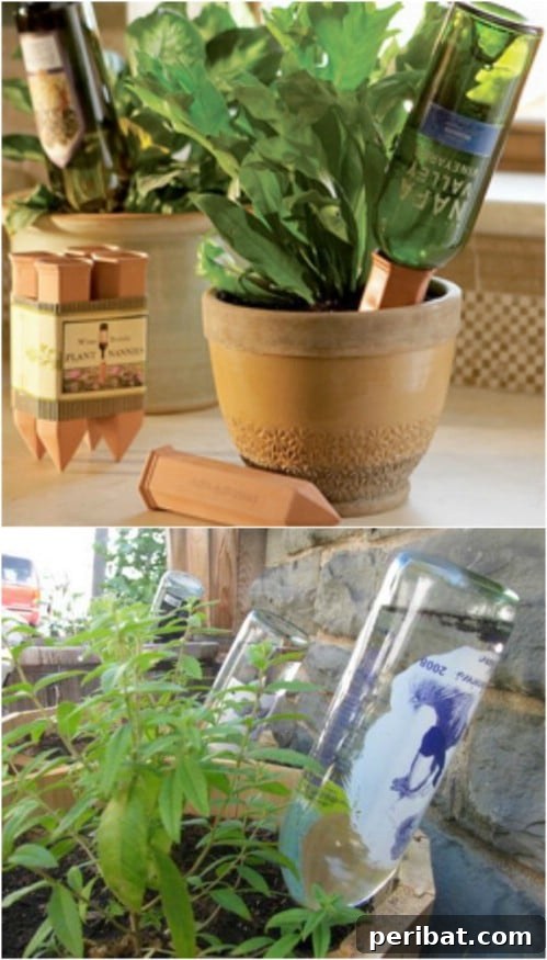 DIY Recycled Bottle Watering Globes