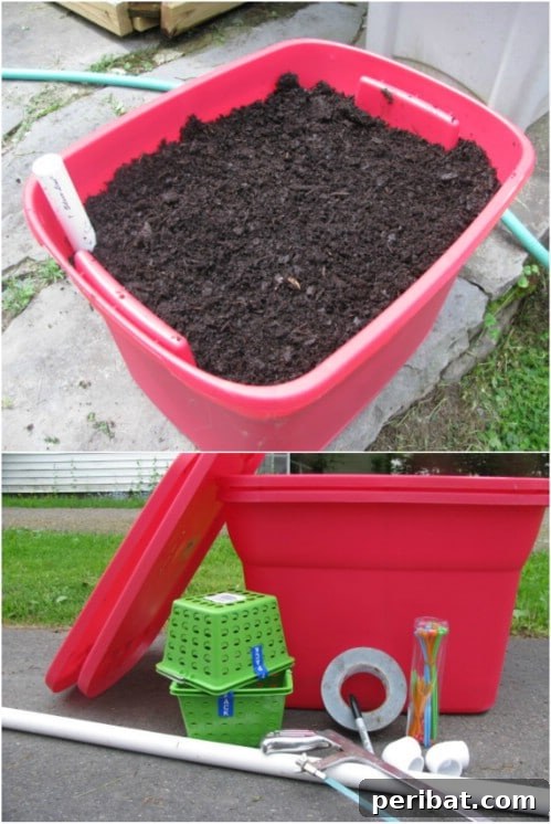 DIY Self Watering Cage Planter