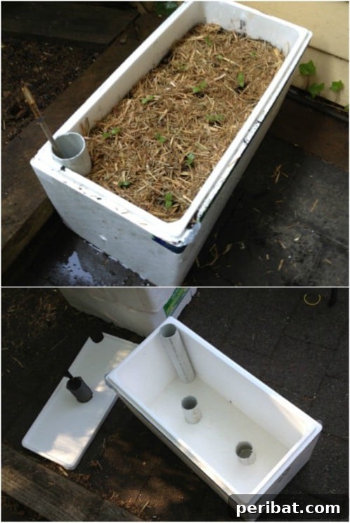 Cheap And Easy Self Watering Foam Box